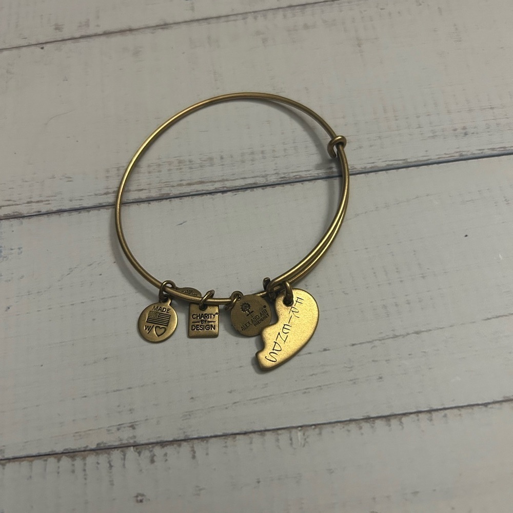 Alex and Ani Friends Charm Bracelet